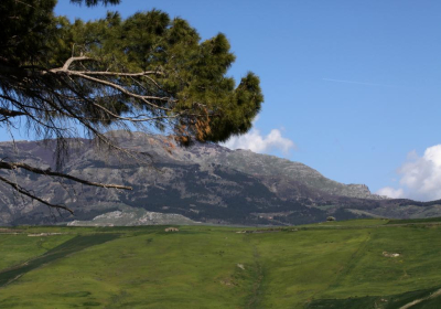 Agriturismo Rustico Feudo San Giorgio